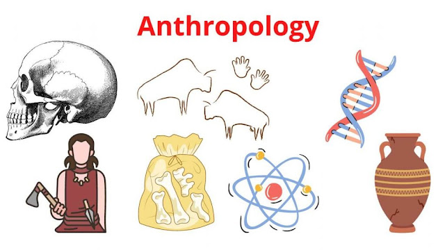 Anthropology Course in india