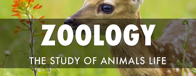 Zoology Course in India